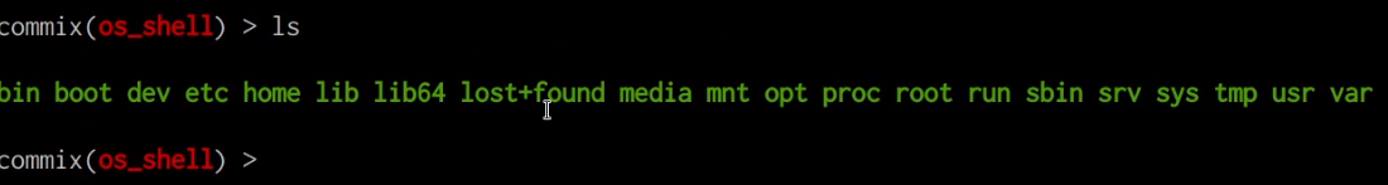 Commix pseudo terminal shell prompt - ls command Commix pseudo terminal shell prompt - ls command